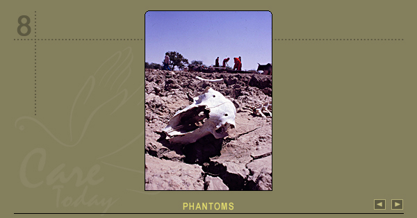 Slide Show  (Pic8)